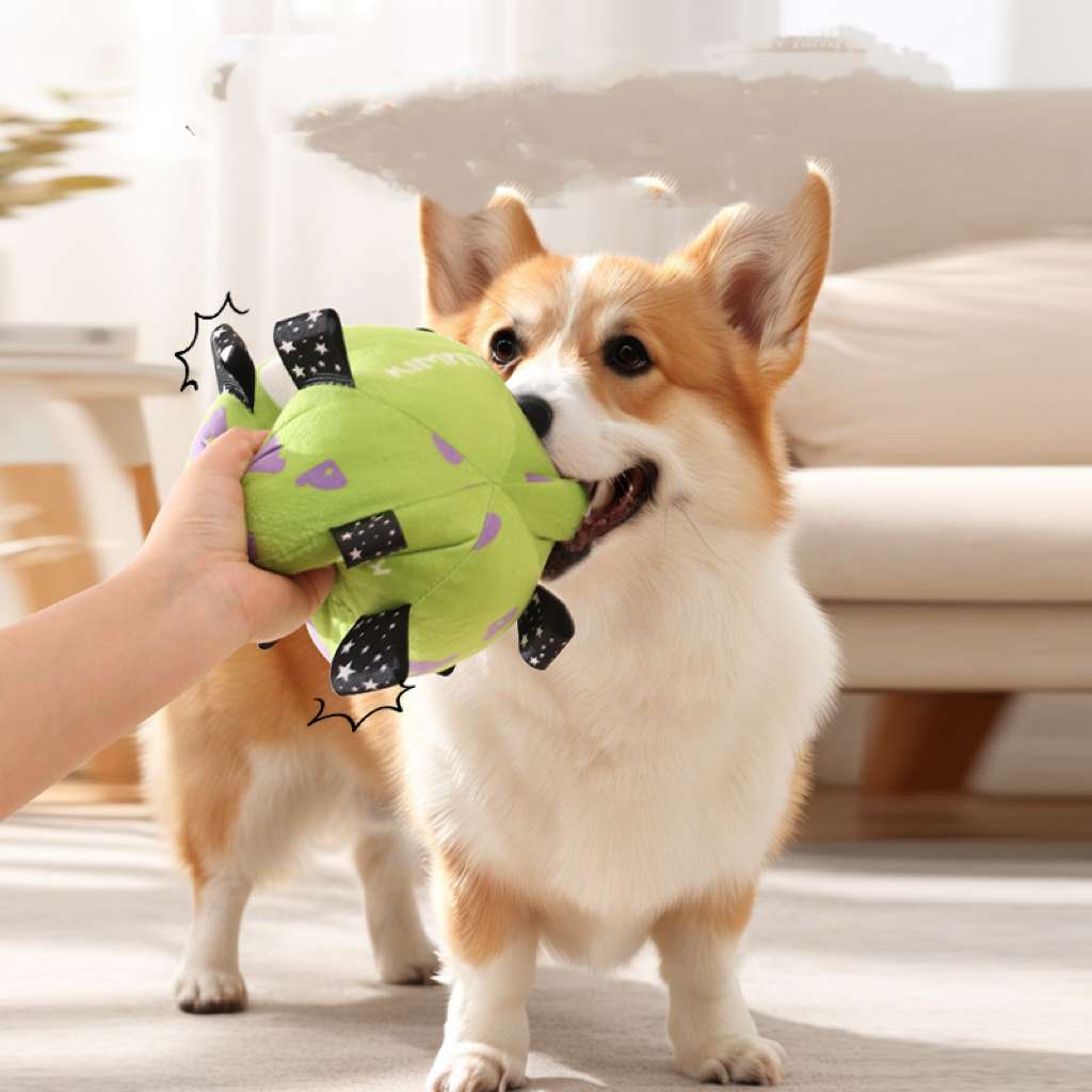 Dog football training toy with built-in bell