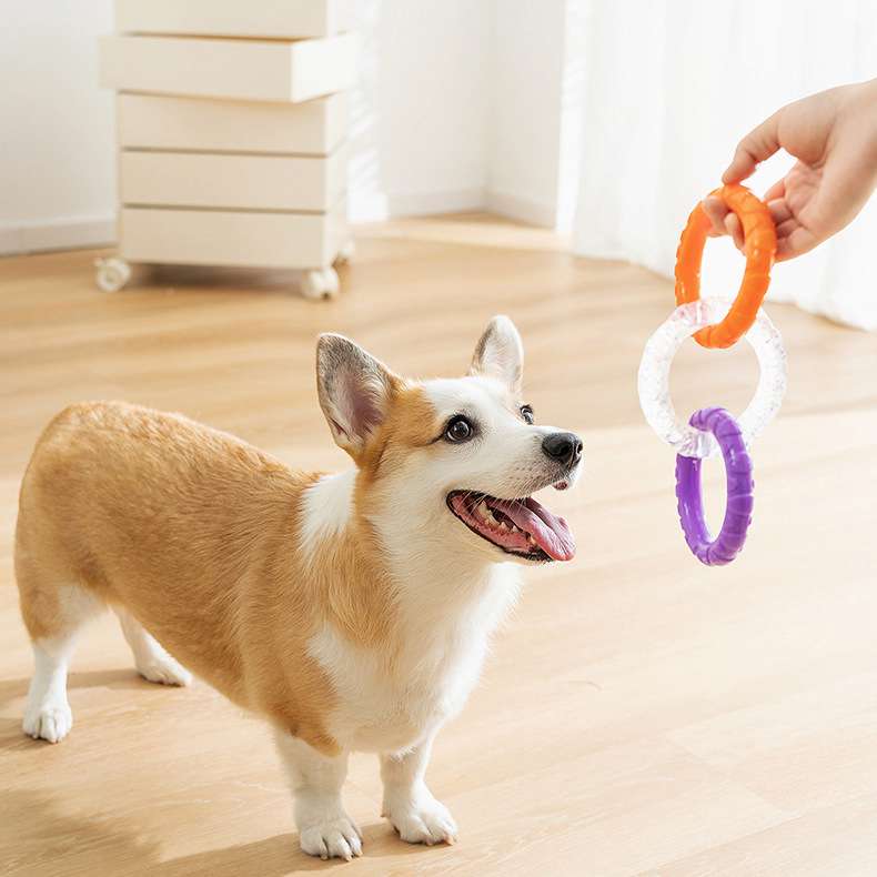 TPR pull ring bite resistant dog grinding toy