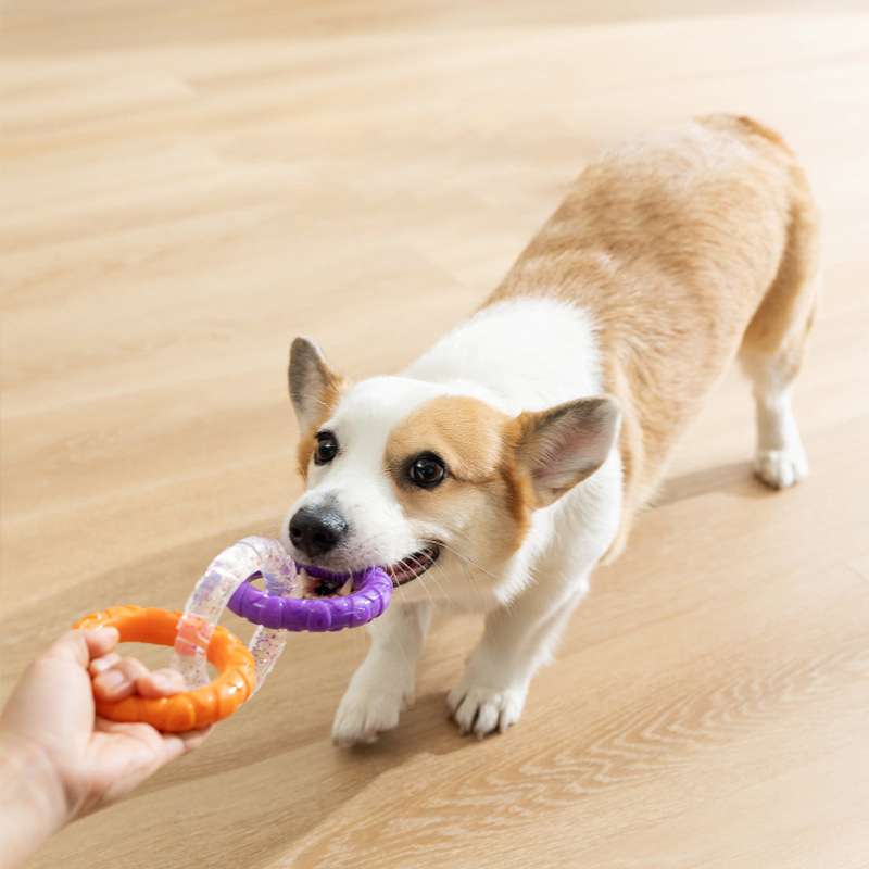 TPR pull ring bite resistant dog grinding toy