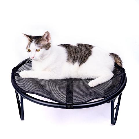 Manufacturer Wholesale Stainless Steel Pet Elevated Bed Waterproof Cat Bed