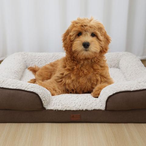 Detachable Removable Warm Cover Orthopedic Foam Dog Bed