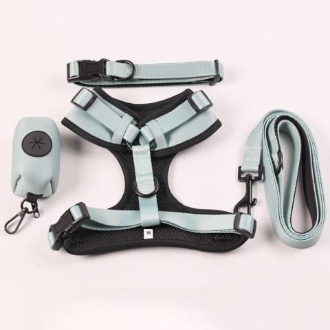 Hot Sale High Quality Adjustable Neoprene Customized Strong Cute Puppy Korean Dog Pet Harness For Dogs