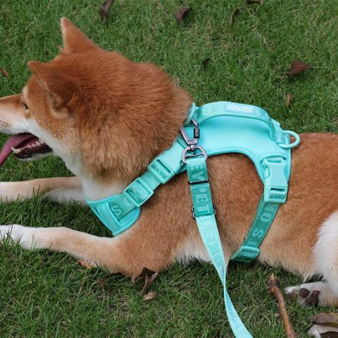 Customised Solid Color Purple Nylon Dog Harness Vest Patches Adjustable Large Cog Vest Harness For Dogs Animals Hiking