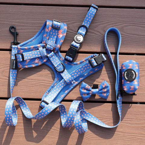  Personalized Manufacturer Pet Accessories Free Design Sublimation Eco Friendly Dog Harness Set