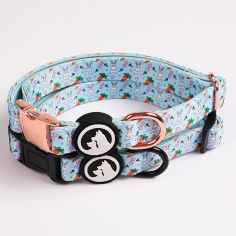 Custom Neoprene Padded Luxury Pet Neck Collar Heat Transfer Printing Soft Walking Dog Collar