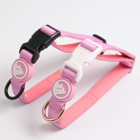 Best Quality Luxury Personalized Heat Transfer Printed Webbing Neoprene Padded Dog Collar Designer