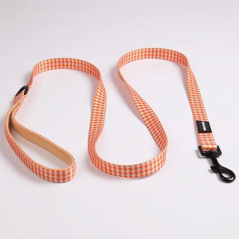 Hot Selling Wholesale Multi-color Practical Reflective Nylon Material Luxury Pet Dog Leash