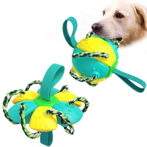 Outdoor Training Wholesale Interactive Dog Toys Pet Accessories