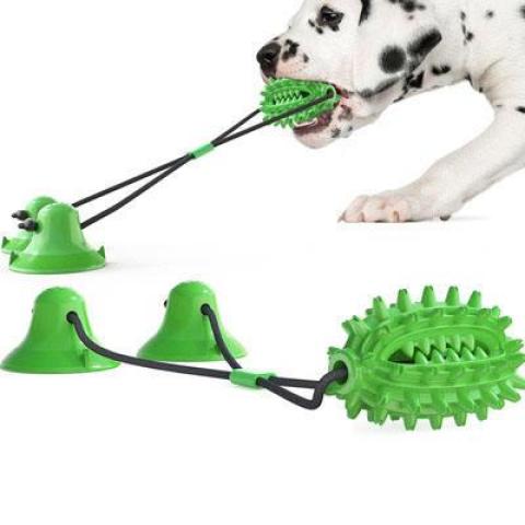 New Hot Selling Double Suction Cup Cactus Molar Rod New Dog Toy