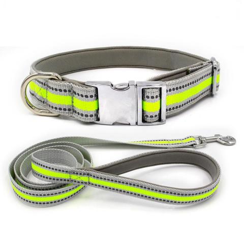 Fashion Design Custom Logo Reflective Nylon Dog Collar And Leash With Metal Buckle