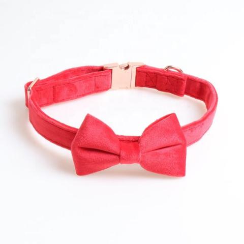 Velvet Pet Cat Collar Bowknot Dog Collar Rose Gold Full Metal Buckle Pet Collar For Dog Cat