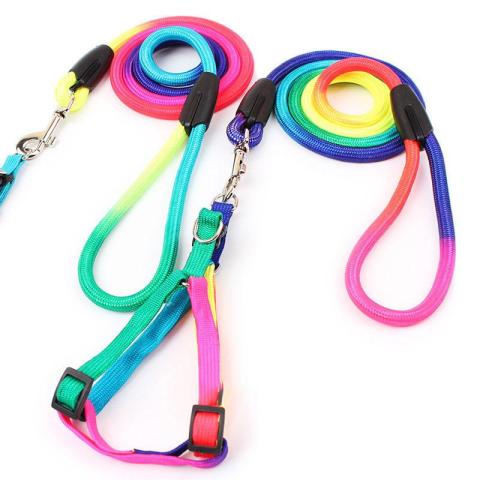 Colorful Harness And Leash Set Escape Resistant Leash Pet Dog Harness Set