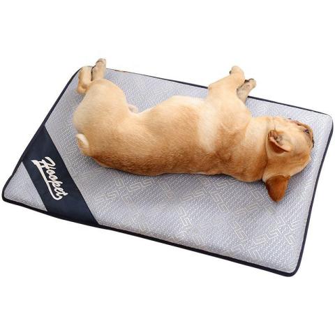 Anti Damp Floor Pet Dog Summer Cooling Bed Mat