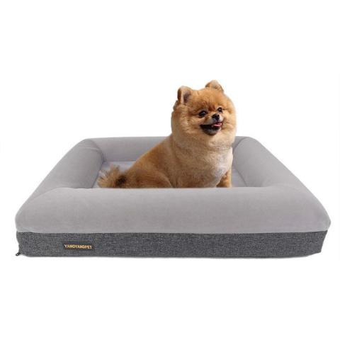 Orthopedic Foam Dog Beddonut Dog Beddog Bed Luxury